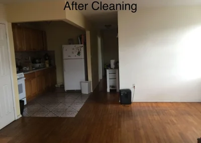 House Cleaning